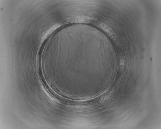 X0000059790678200511111536