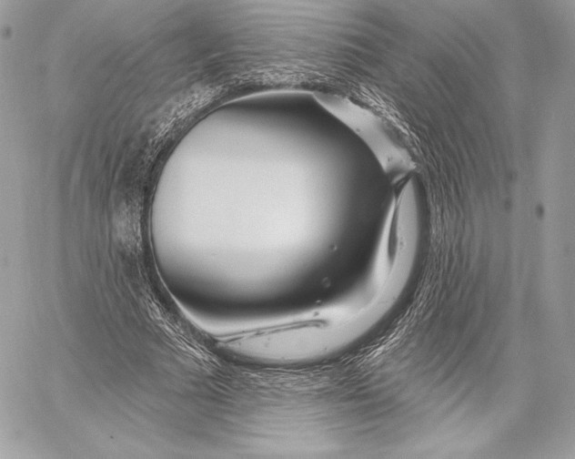 X0000059790681200511111536