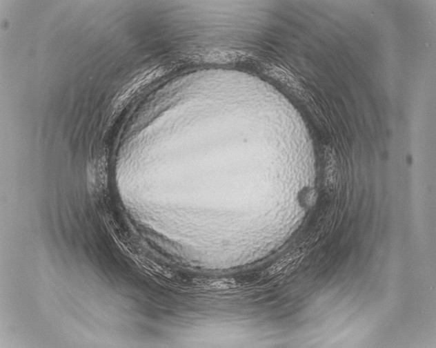 X0000059790683200511111536