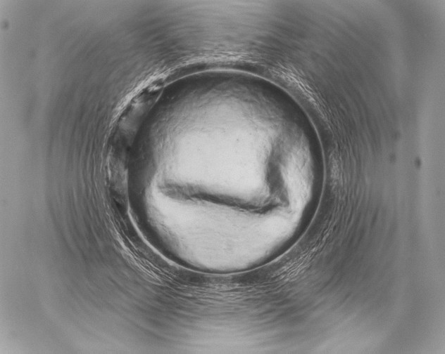 X0000059790684200511111536