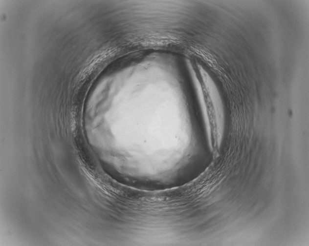 X0000059790687200511111535