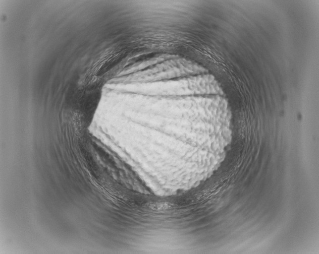X0000059790695200511111535