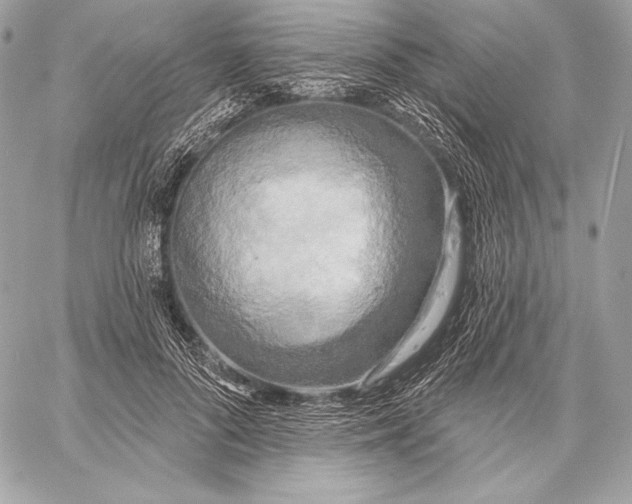 X0000059790696200511111535