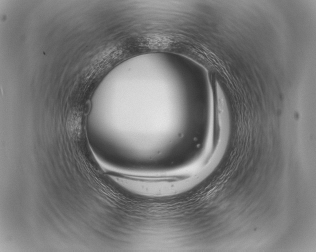 X0000059790697200511111535