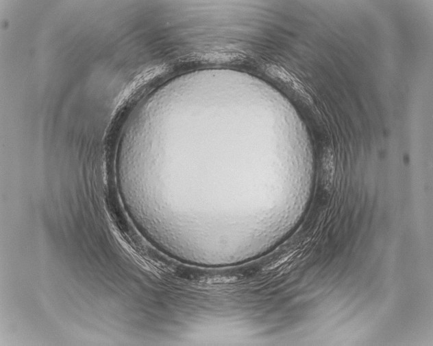 X0000059790734200511111534
