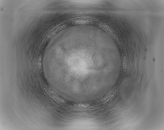 X0000059790737200511111534