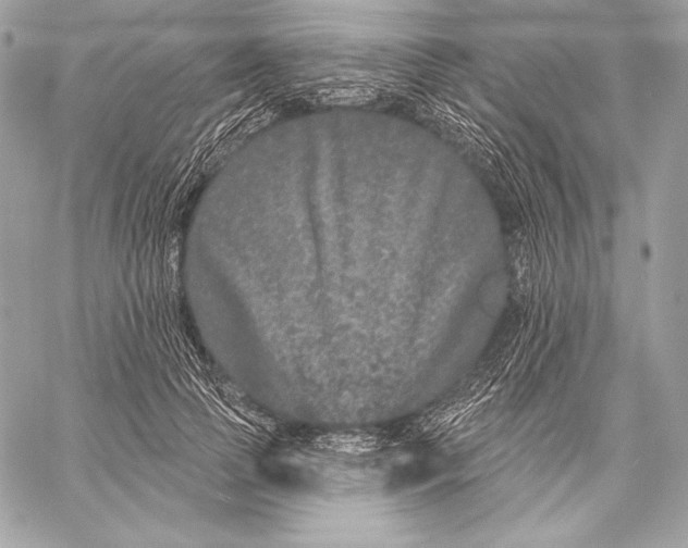 X0000059790745200511111535