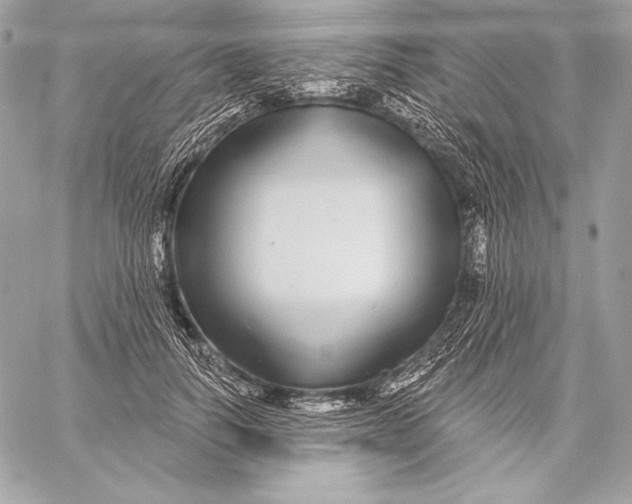 X0000059790746200511111535