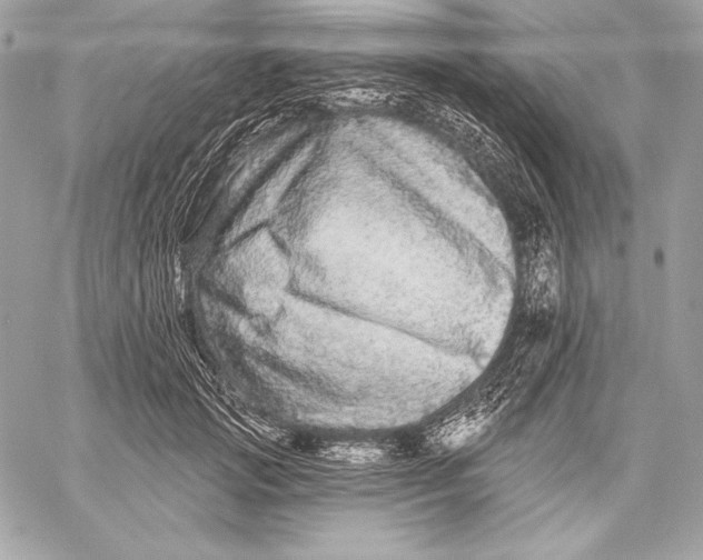 X0000059790749200511111535