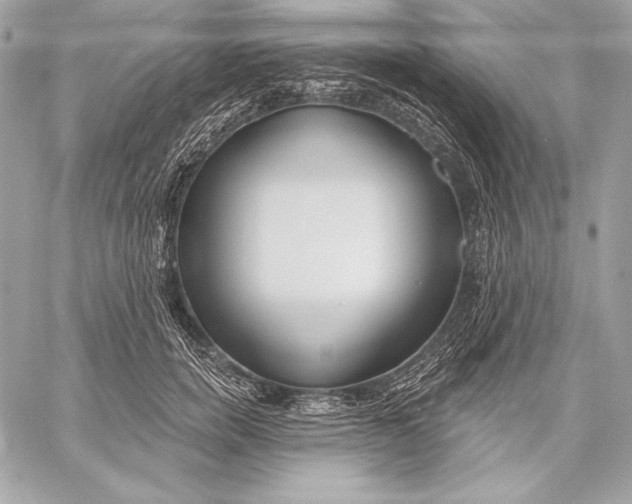 X0000059790750200511111535