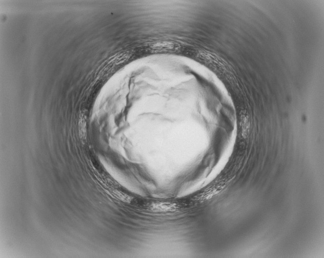 X0000059790753200511111535