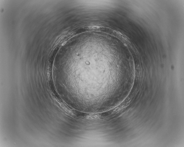 X0000059790762200511111535