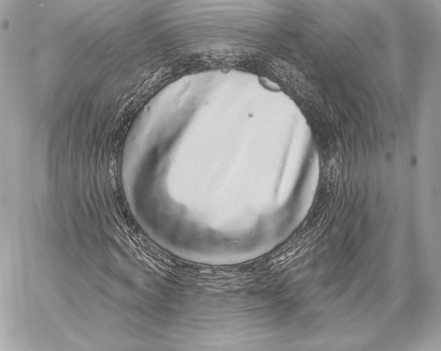 X0000059790772200511111534