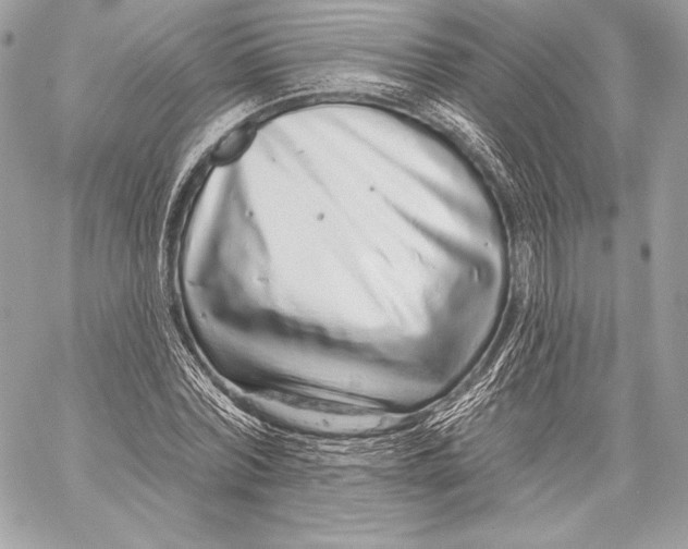 X0000059790780200511111534