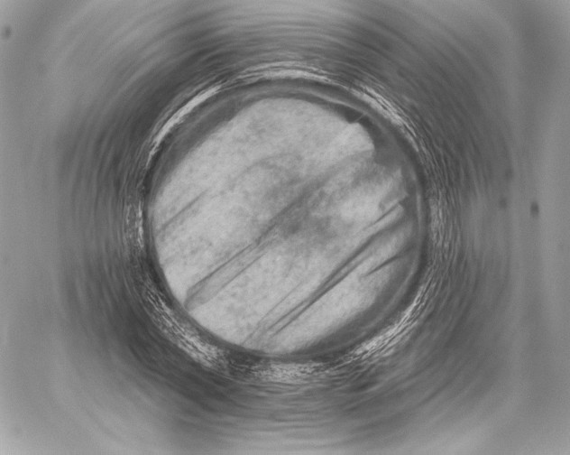 X0000059790782200511111534