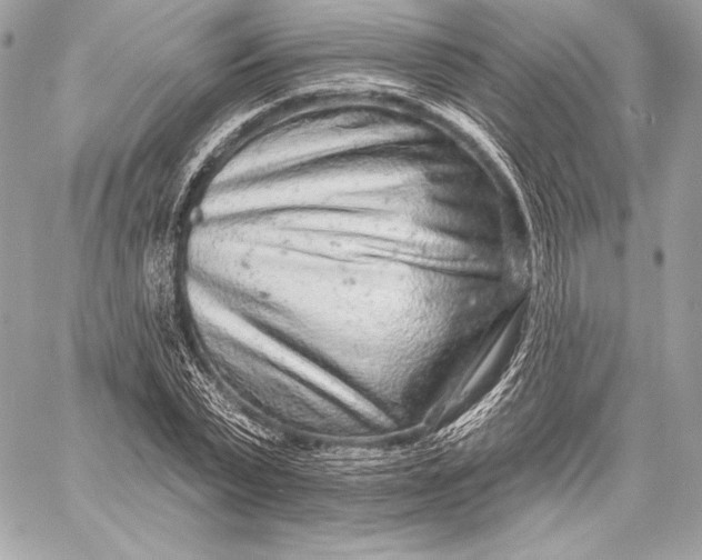 X0000059790783200511111534