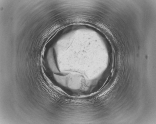 X0000059790785200511111534