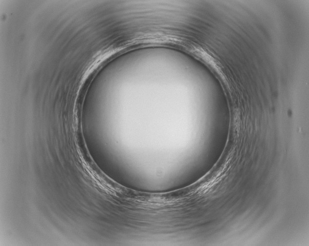 X0000059790787200511111534