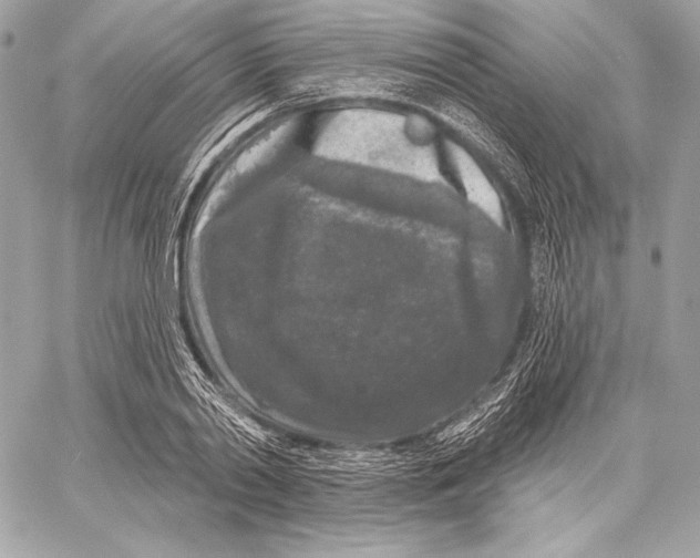 X0000059790790200511111534
