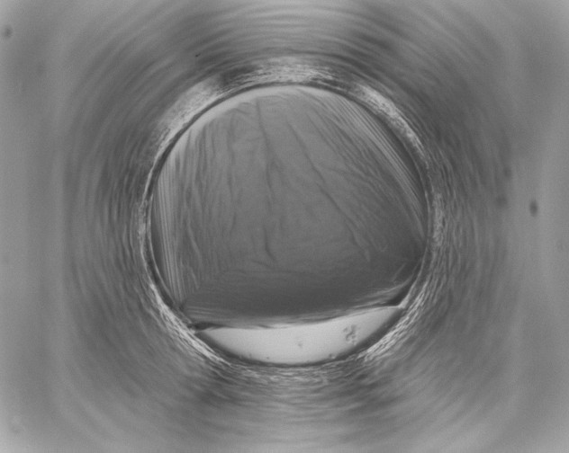 X0000059790802200511111534