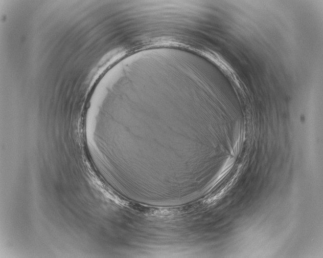 X0000059790806200511111534