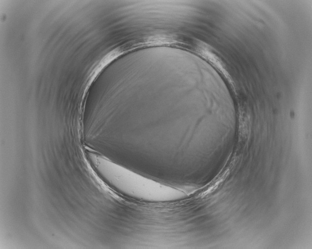 X0000059790810200511111533