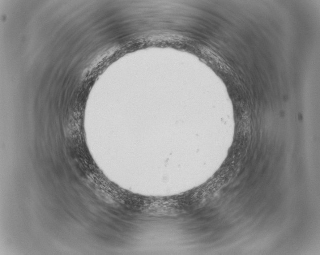 X0000059790824200511111533