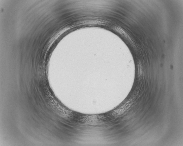X0000059790828200511111533