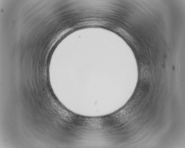 X0000059790836200511111533
