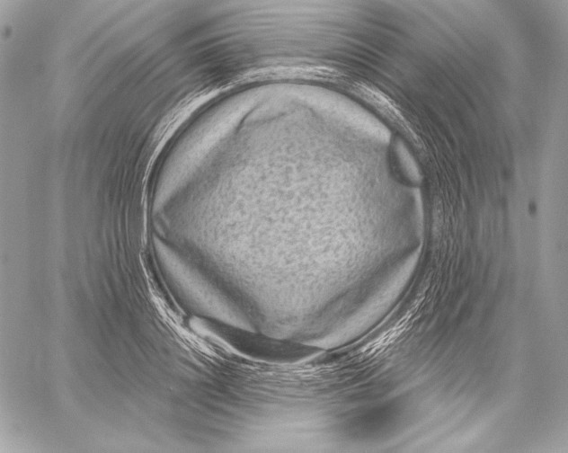 X0000059790844200511111533