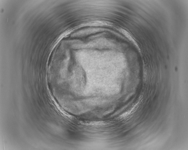 X0000059790845200511111533