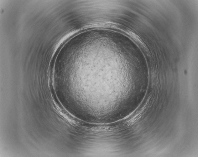 X0000059790846200511111533