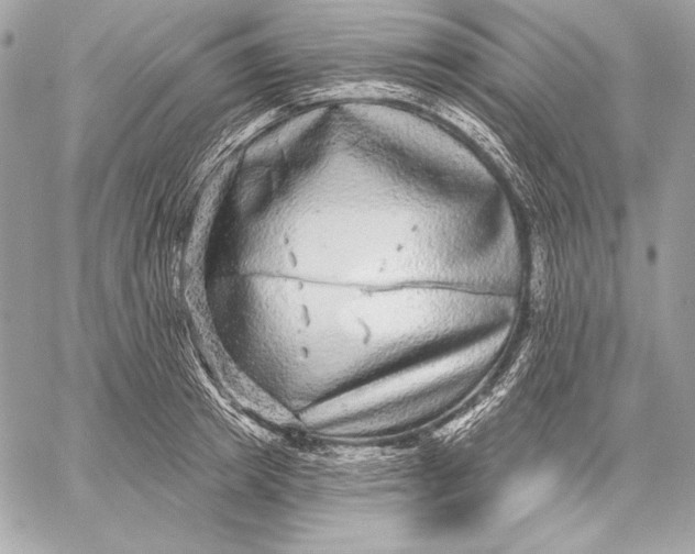 X0000059790849200511111533