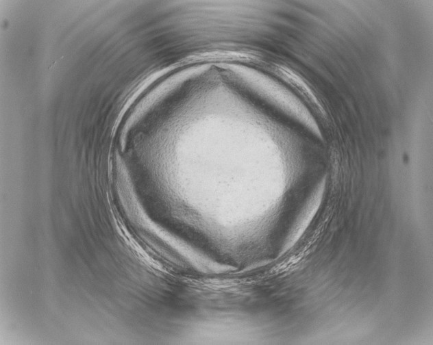 X0000059790852200511111533