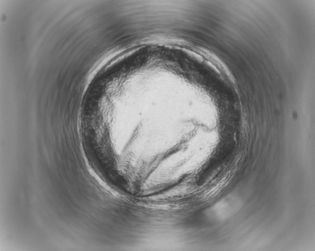 X0000059790855200511111533