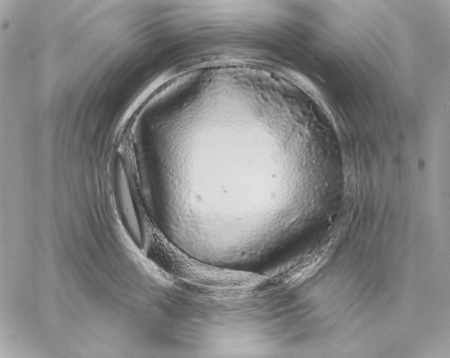 X0000059790859200511111533