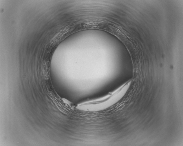 X0000059790868200511111532