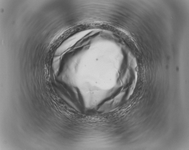 X0000059790871200511111532