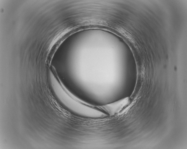X0000059790877200511111532