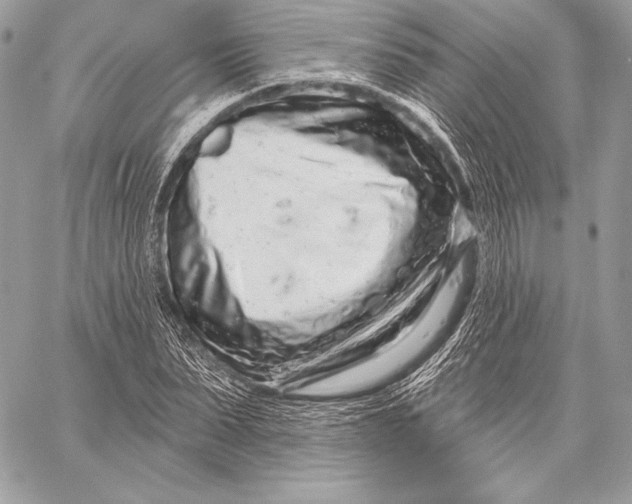 X0000059790879200511111532