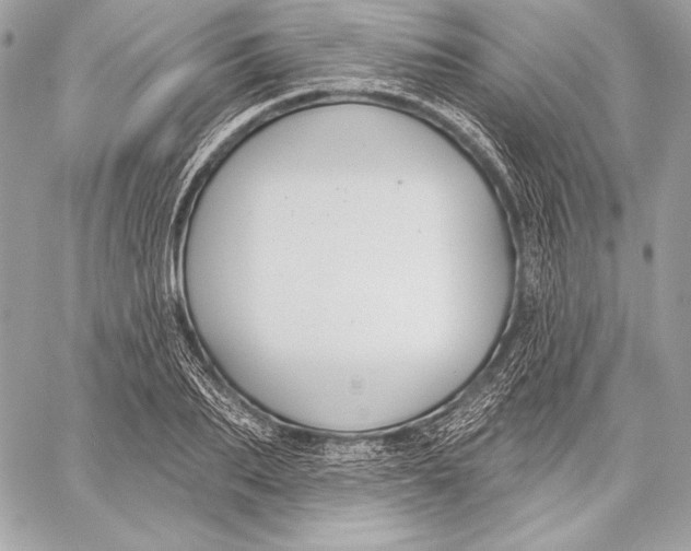 X0000059790887200511111532