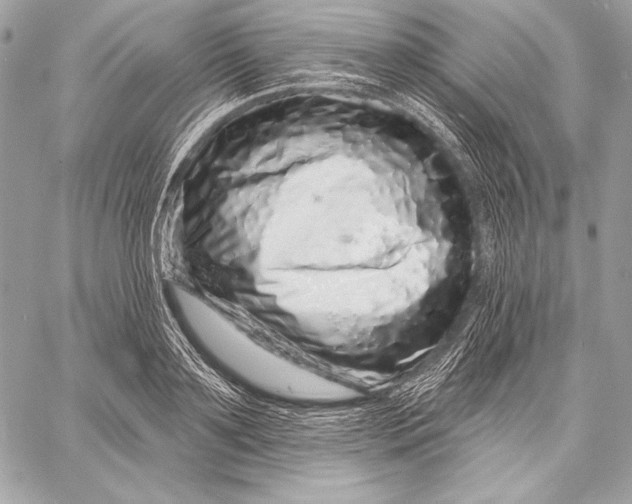 X0000059790891200511111532