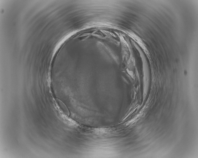 X0000059790904200511111532