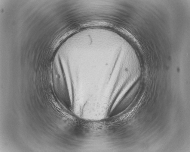 X0000059790937200511111531