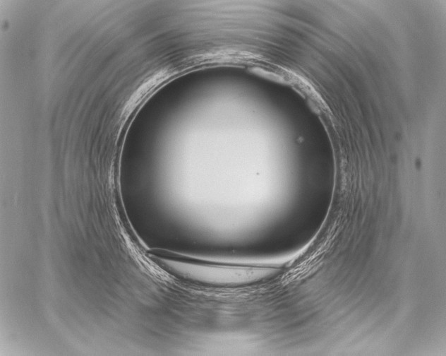 X0000059790946200511111532