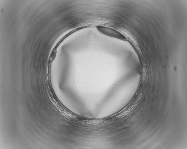 X0000059790948200511111532