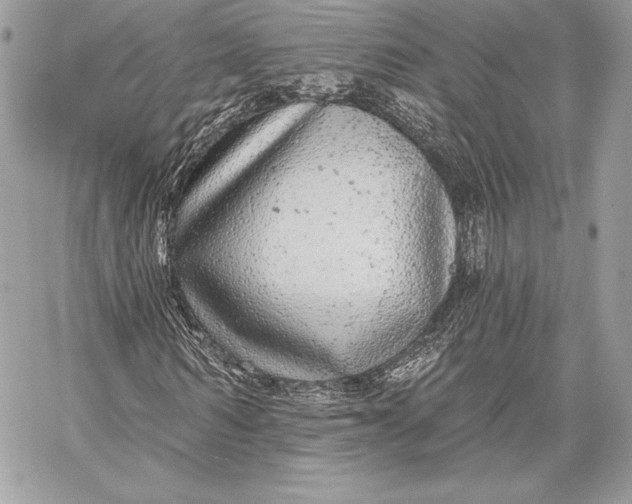 X0000059790962200511111531