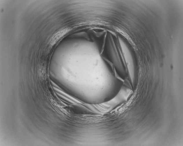 X0000059790977200511111531