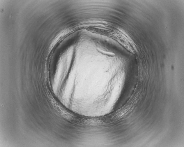 X0000059790994200511111530