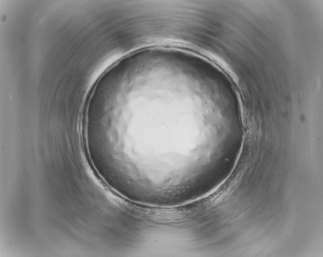 X0000059791007200511111530